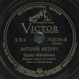 Autumn asters ( ), gypsy romance (ckenny)